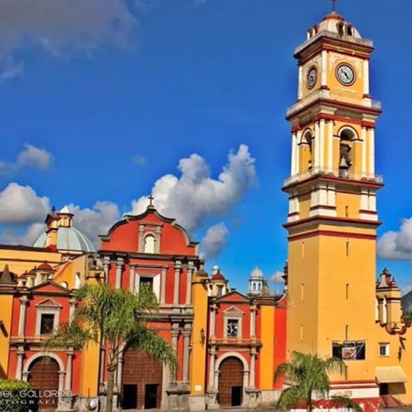 Obispos de Veracruz llaman a votar inteligentemente