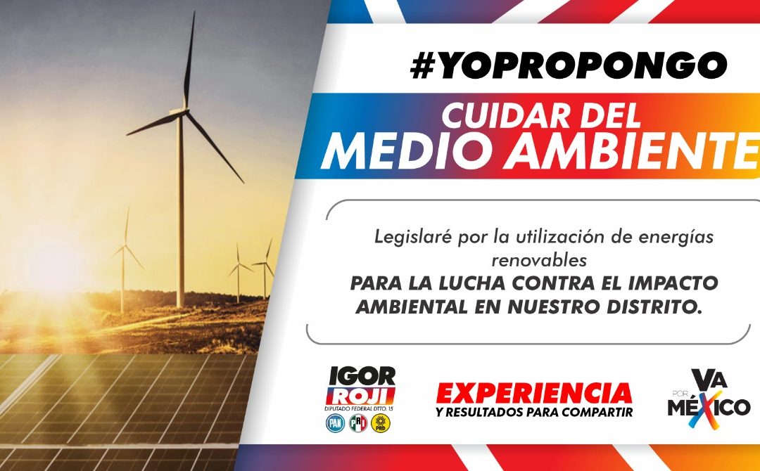 Energías limpias para el distrito: propuesta Igor Rojí