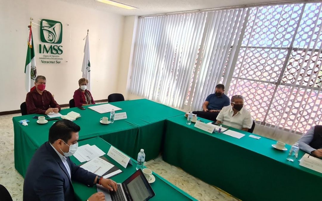 Hay abasto de pruebas rápidas de COVID en el IMSS: Delegada al Consejo Consultivo