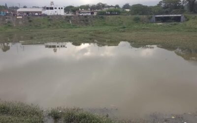 Renace laguna el Chirimoyo tras las lluvias