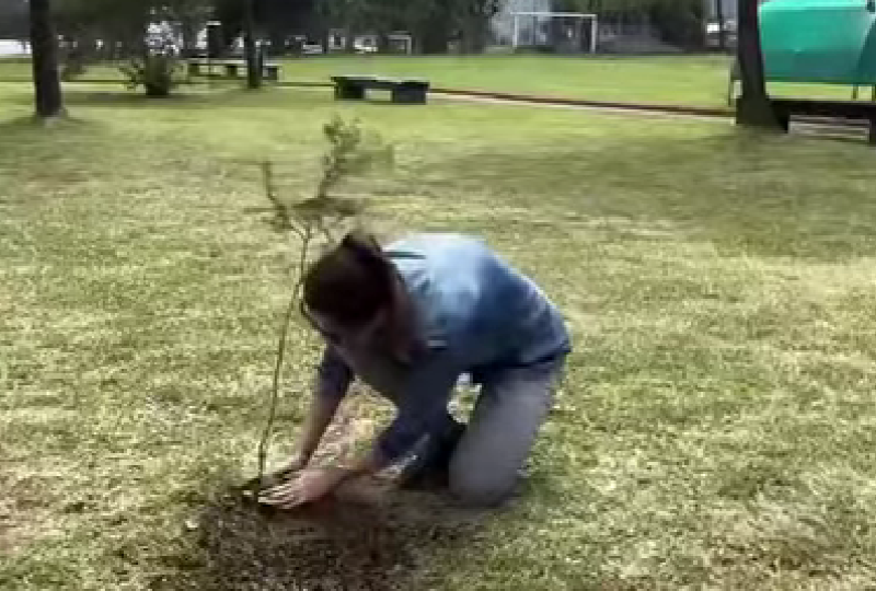Reforestación en CDO Cerritos