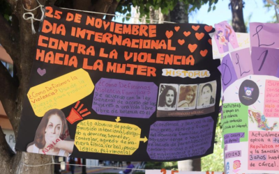 “Los feminicidas andan sueltos”, señala Marea Verde Altas Montañas