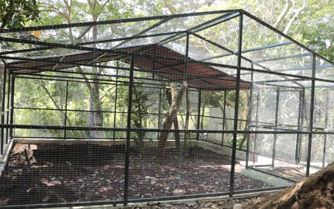 Será una realidad el Hospital de Rescate Animal en Veracruz: Sergio Rodríguez Cortés
