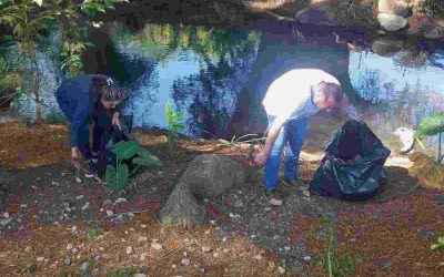 Exitosa Jornada de Limpieza en la Ribera del Río Blanco