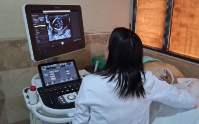 Atiende IMSS Veracruz Sur 12 nacimientos al día