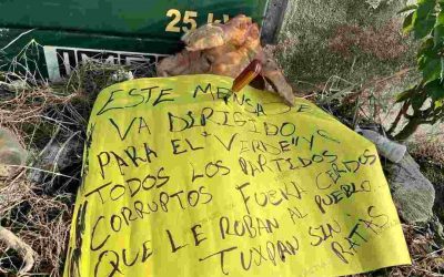 Aparece cabeza de cerdo con mensaje a candidatos