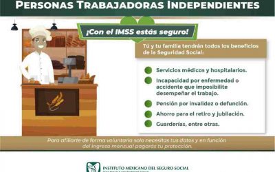 IMSS Veracruz Sur invita a trabajadores independientes a incorporarse a la seguridad social