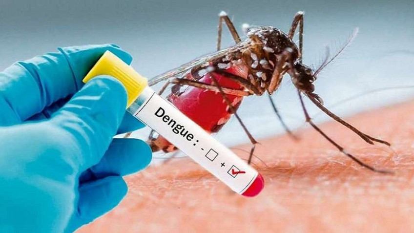 Refuerza IMSS Veracruz Sur acciones contra el dengue