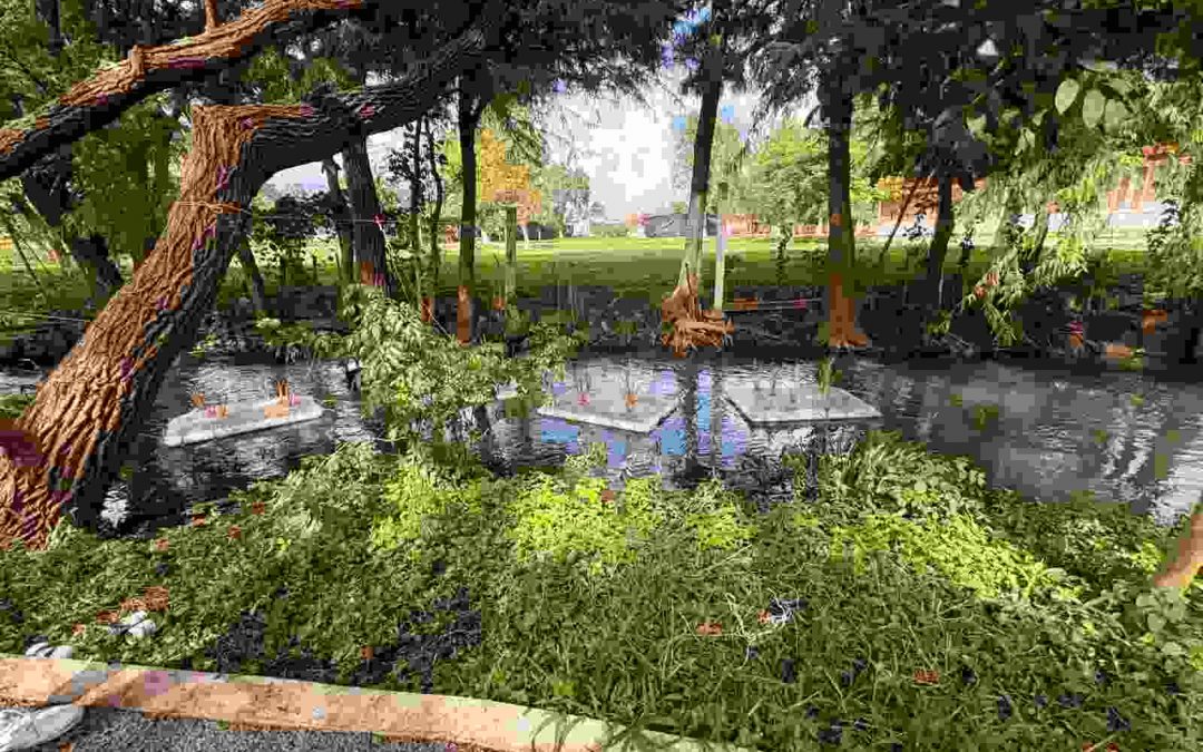 “Unidos por la naturaleza: Conservan y embellecen la Ciudad de los Ahuehuetes”