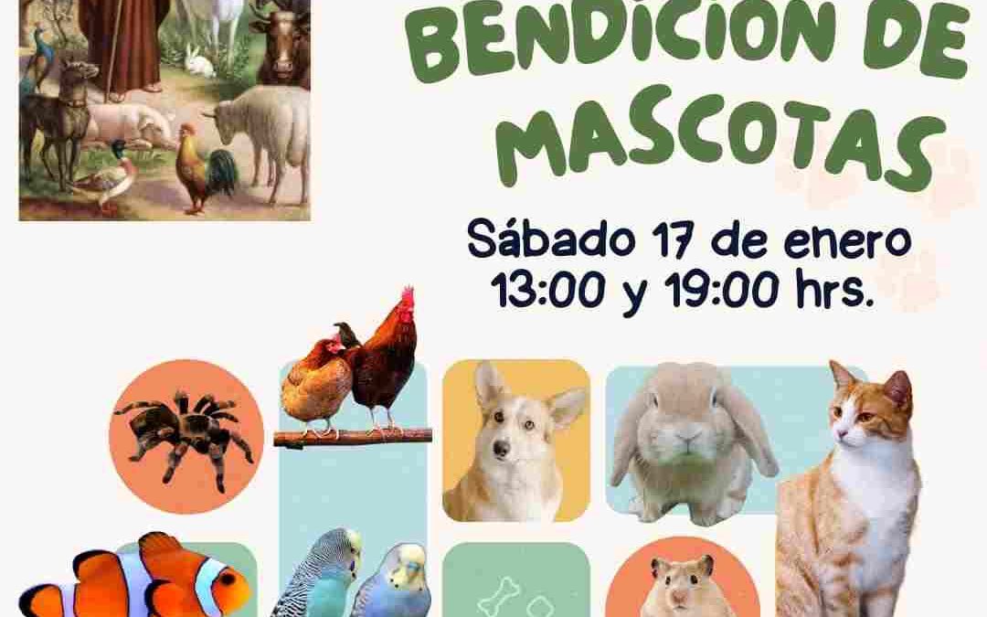 Habrá bendición de mascotas en la parroquia de Ixtaczoquitlán