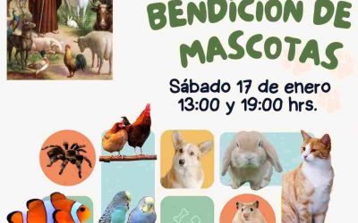 Habrá bendición de mascotas en la parroquia de Ixtaczoquitlán