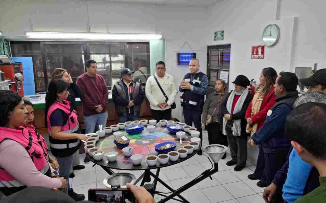 Impulsa Ayuntamiento de Fortín capacitación a cafetaleros