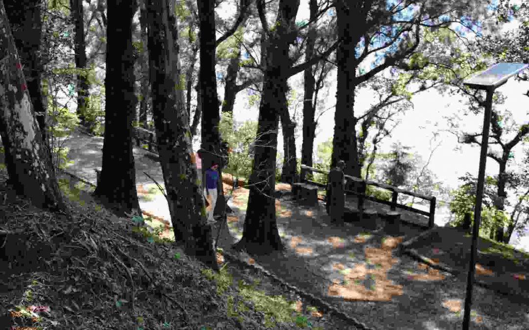 Descenderá a dos grados temperatura en cima del Cerro del Borrego