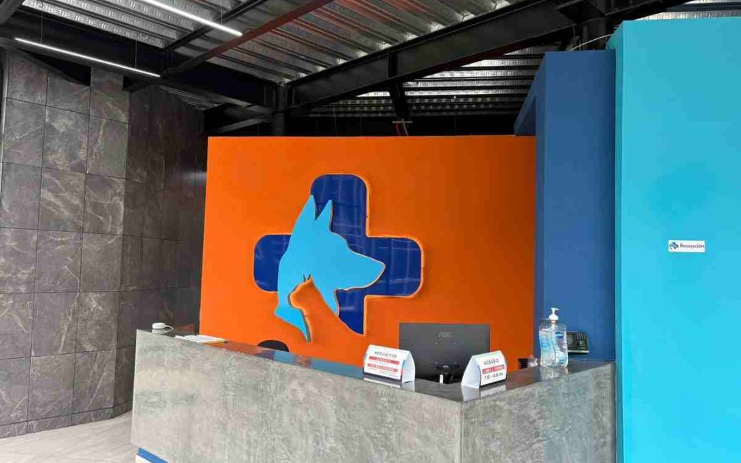 Refuerzan en Orizaba el cuidado responsable de mascotas con apoyo de Clínica Mascori