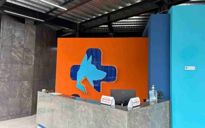 Refuerzan en Orizaba el cuidado responsable de mascotas con apoyo de Clínica Mascori