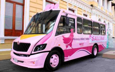 “La Gallina”: nuevo transporte municipal para mujeres y niños