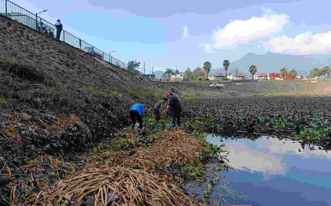 Con respaldo científico, UV supervisa limpieza del Vaso Regulador “El Chirimoyo”