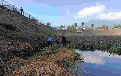 Con respaldo científico, UV supervisa limpieza del Vaso Regulador “El Chirimoyo”