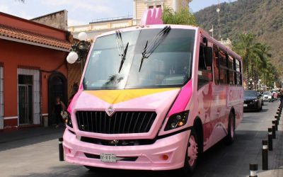 Se gana “La Gallina” confianza y cariño de la ciudadanía