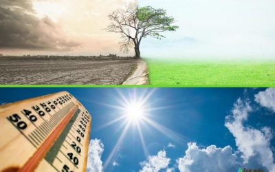 Emite IMSS Veracruz Sur recomendaciones ante cambios climáticos