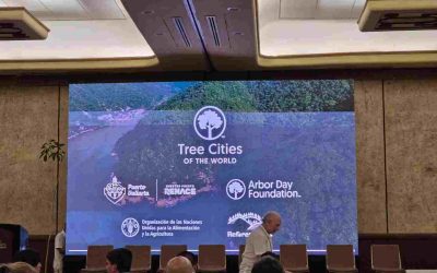 Obtiene Orizaba distintivo internacional: “Ciudad del Árbol” por su compromiso ambiental