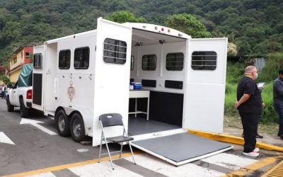 Llegan jornadas de esterilización y vacunación gratuitas, a las colonias