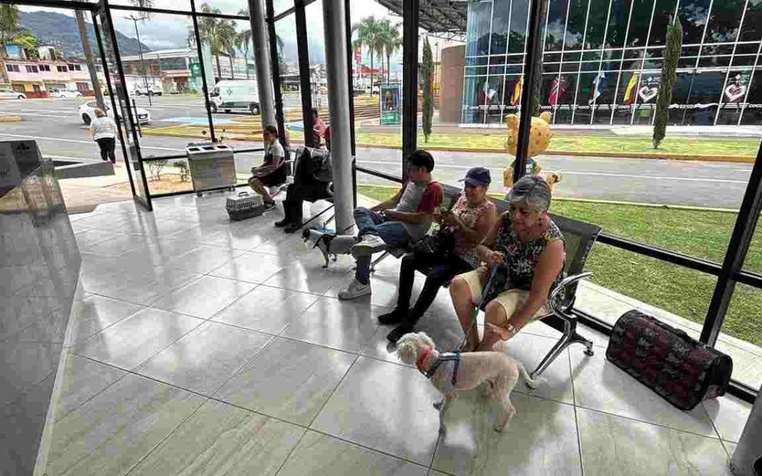 Ciudadanía y Mascori transforman historias de abandono en segudas oportunidades para perros destacados