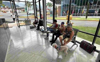 Ciudadanía y Mascori transforman historias de abandono en segudas oportunidades para perros destacados